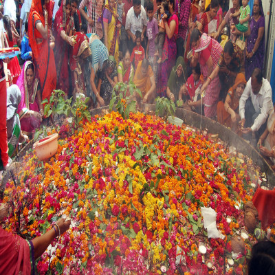 Nag Panchami Sight Seeing Tour
